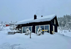 Great cabin in Hemsedal wifi golf ski eldorado Hemsedal